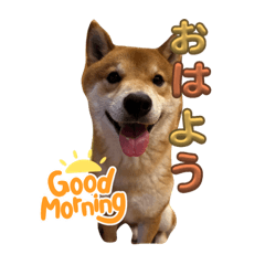 manmaru_20231230105540