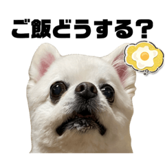 Sunny_20231229233947