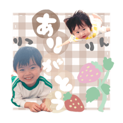 tanuki_20231230090924