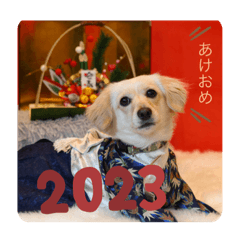 cream_2024