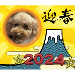 SAYURI_20231230133857