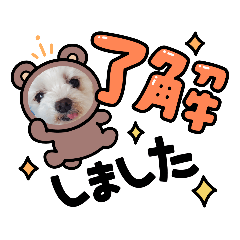 KANA_20231229173323