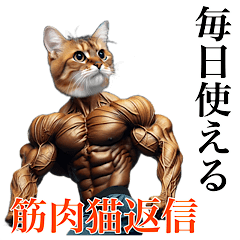 muscular cat!!
