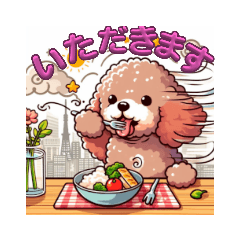 かわいい日常プードル