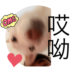 Cute Mr.Toast 1