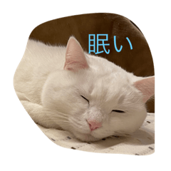 masabi_20231230164318