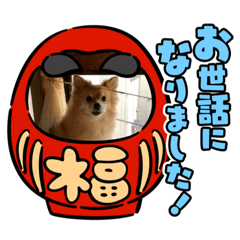 Yayoi1307