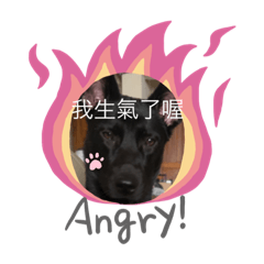 妹妹嘟小貼圖