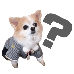 63ringo_20231230173410
