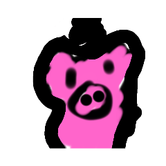 pig_20231230192801