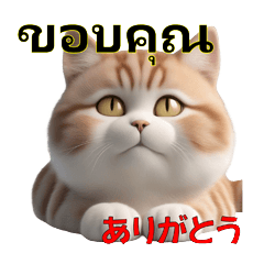Cute Cat Stickers with Japanese and Thai