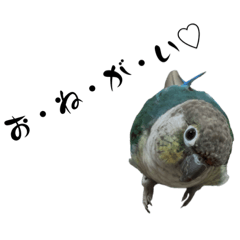 Kana_20231230193144
