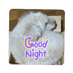 yuka_20231230214451