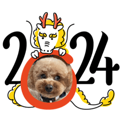 yumiiiii_20231230222931