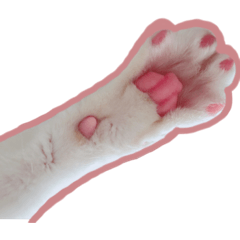 nyasuka_20231231005236