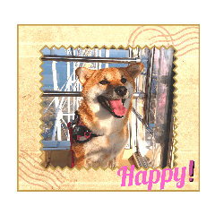 jinjin_20231231010806