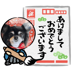 YUKA_20231231083619
