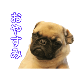 napi_20231231020719