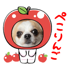 Sakura_20231230232952