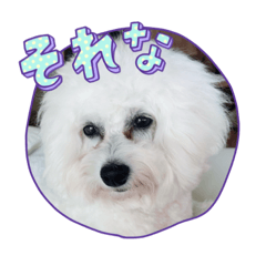 KANA_20231231141512