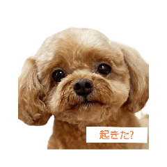 junko_20231231150439