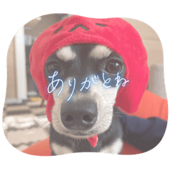 yuka_20231231151639