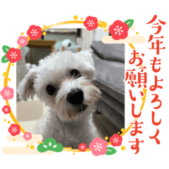 NAO_20231231124312