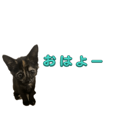 suzu_20231231124726