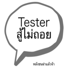 Tester fighter