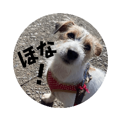 konatsu's sticker