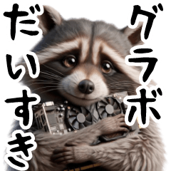 Raccoon love GURABO