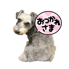 yuuko_20231231165448