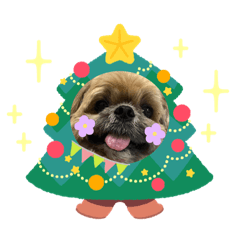 Chon kub Happy Festival !!