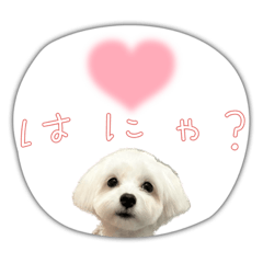 nao_20231231203038