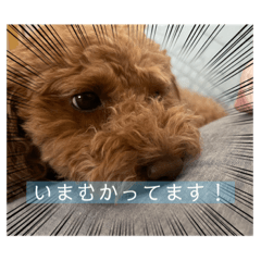 kana_20231231213808