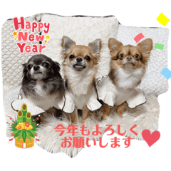 Kana_20231231231944