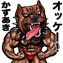 Kazuaki dedicated Muscle macho animal