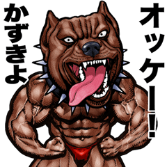 Kazukiyo dedicated Muscle macho animal