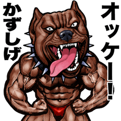 Kazushige dedicated Muscle macho animal