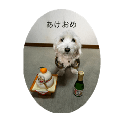 morihana_20231231230506