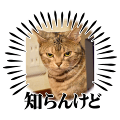 Sometime_20231231235505