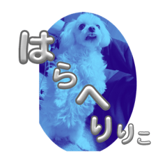 Natsuki_20240101004618