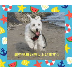 CELOTEH_20231231194823