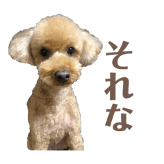 KANA_20231231183337