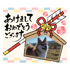 suzu_20231231205035