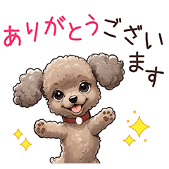 Cute dogs everywhere! Toy Poodles