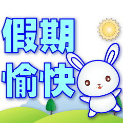 Cute White Rabbit-Practical Everyday