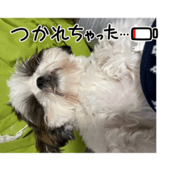 yayoi_20240101014810