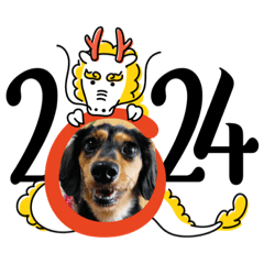 thino_20240101024304