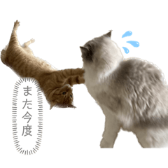 nao_20240101111254